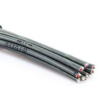 Multicabo Espaguetado Flexível 8 Vias - 4 Metros - 2