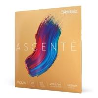 Encordoamento Violino Média D Addario Ascenté A310 4-4m [f035] - 1