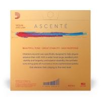 Encordoamento Violino Média D Addario Ascenté A310 4-4m [f035] - 3