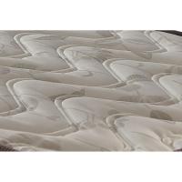 Colchão Solteiro Espuma D23 Pasquale Clean (88x188x14) - Paropas