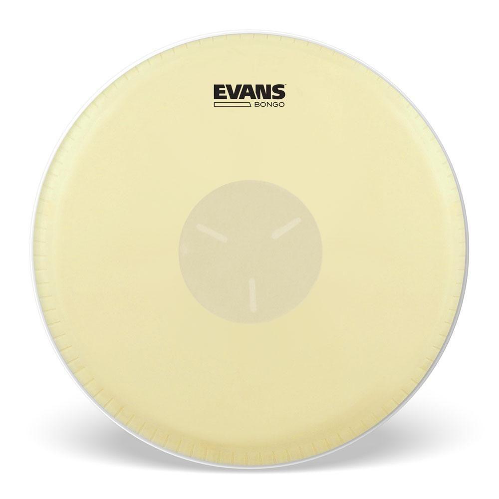 Pele Para Bongô 7 1-4\' Evans Tri-center Eb07 [f035] - 1