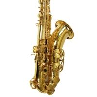 Saxofone Tenor Ts 200 Laqueado Dourado Com Case New York [f097] - 5
