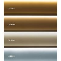 Spot De Led Embutir Slim Mr16 Redondo 6w Preto Bivolt Blumenau 6500k Luz Fria - 2