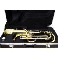 Bombardino Euphonium 3 Pistos Ep 200 Laqueado Dourado Com Case New York [f097] - 2