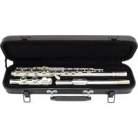 Flauta Transversal Fl 200Es Prateada Com Case New York