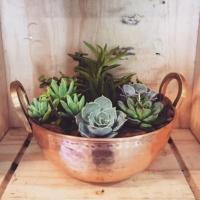 Tachinho Mini De Cobre Puro Servir E Decorar Com Alças 7,5Cm - 2