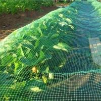 Tela Mosquiteiro 2 Metros Pernilongo Mosquito Basculante Porta Janela Mosca Inseto Resistente