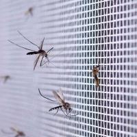 Tela Mosquiteiro Pernilongo Mosquito 2 Metros Janela Basculante Inseto Mosca Proteçao Resistente