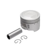 Pistao Pino-trava Kmp (p-anel Cg Antiga) Cg Today 0.25 [f016] - 1