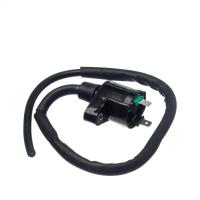 Bobina Ignicao Condor 12v Cg 125 00 A 02 [f016] - 1