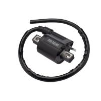Bobina Ignicao Condor 12v Biz 100 -05 [f016] - 1