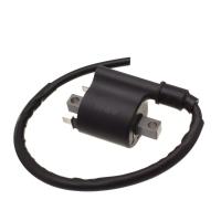 Bobina Ignicao Condor 12v Cg 125 2009- [f016] - 1