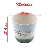Kit 2 Mini Vasos De Planta Cachepot Estampados Decorados 12,5cm - 2