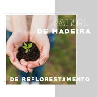 Armário Utilitário Cozinha 2 Portas Noce Carraro - 2