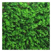 Placa Grama Muro Inglês Jardim Vertical Artificial 40x60cm - 1