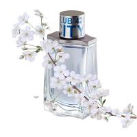 Perfume Club 420 City Linn Young Eau De Toilette Masculino 100ml - 3