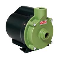 Motobomba Centrífuga Schneider 1/4cv Bcr-2000 220 Volts - 1