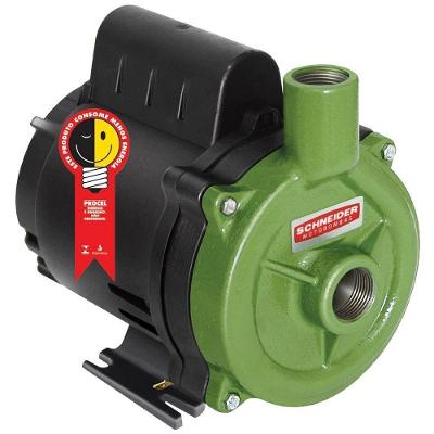 Motobomba Residencial Schneider Bc-98 1/2 Cv 5,5m³/h 220 V