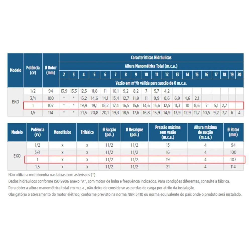 Motobomba Para Piscina 1 1/2 Polegada Eko 1cv 220/380v - 3