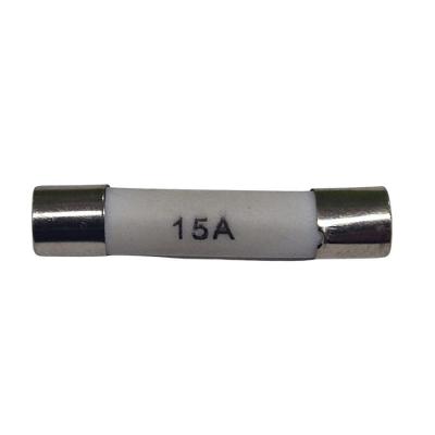 Fusível Geral Micro-ondas 15a Bivolt