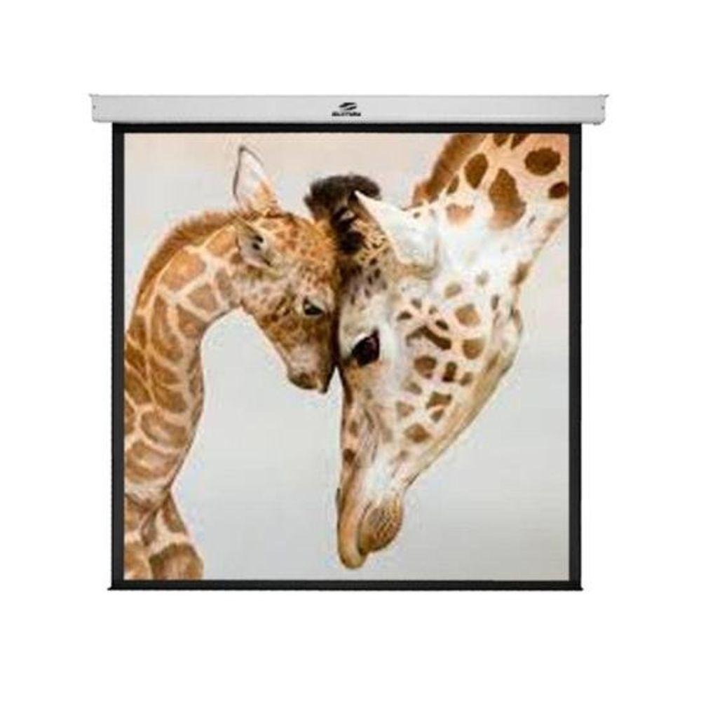 Tela De Projeção Retrátil Sumay Trqs110 2,00x2,00m - 9