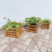 Conjunto Cachepô Malta 3 Peças Natural-madeira - 2