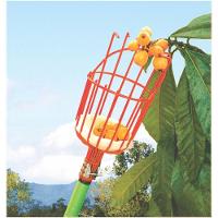 Colhedor Frutas Grande Sem Cabo Ft-20850g Trapp Original - 2