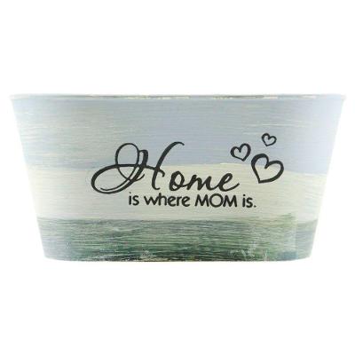 Kit 4 Mini Vasos De Planta Cachepot Estampados Decorados 9cm