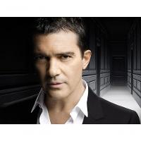 Perfume Seduction In Black Antonio Banderas Eau De Toilette Masculino 200ml