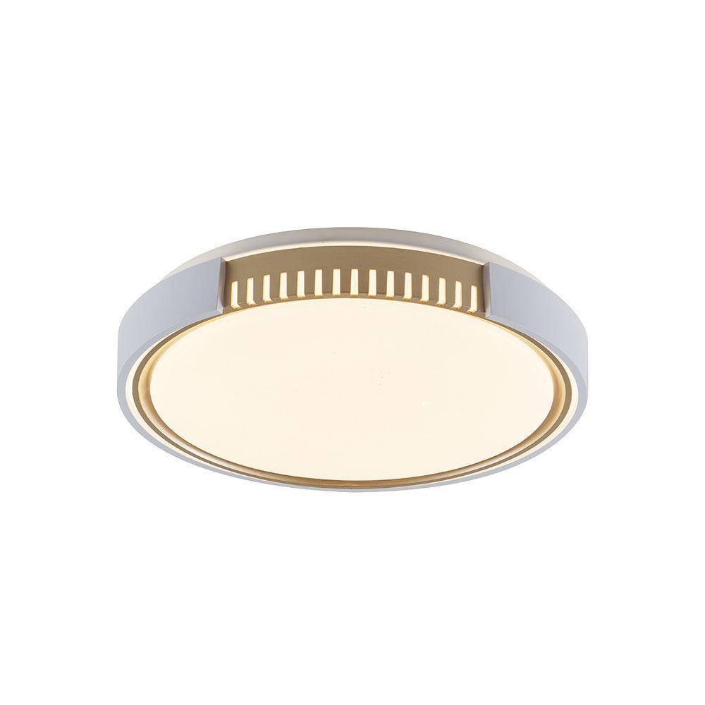 Plafon Led Blumenau Young Redondo De Sobrepor 24w Bivolt Branco - Dourado - 4