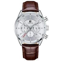 Relógio Quartzo Casual Masculino Impermeável, Data Cheetah Prata - 1