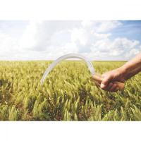 Foicinha com Dentes Tramontina em Aço com Cabo de Madeira - 6