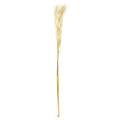 Pluma Capim Dos Pampas Seco Artificial 140 Cm Natural - D'rossi