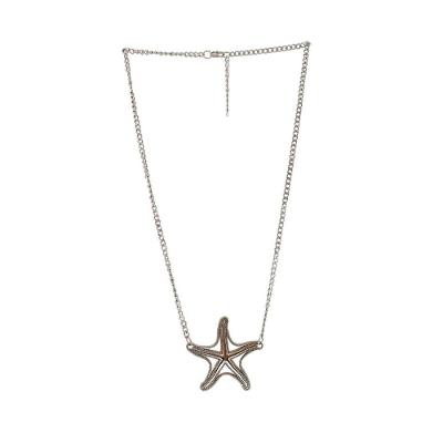 Colar Longo Estrela Prateada
