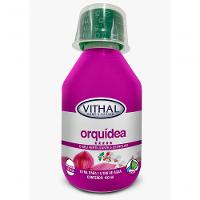Fertilizante Liquido Para Orquídea Vithal 100ml - 1