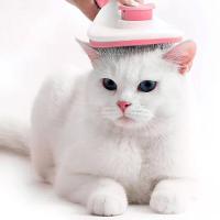 Escova Rasqueadeira Remove Pelos Cães Gatos - 3