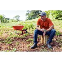 Carrinho Mão Com Caçamba Funda Plástica Laranja 55 L Braço Madeira Pneu Com Câma