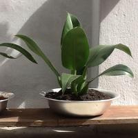 Bacia De Alumínio Redonda Para Banho Assento E Cozinha 20cm - 2