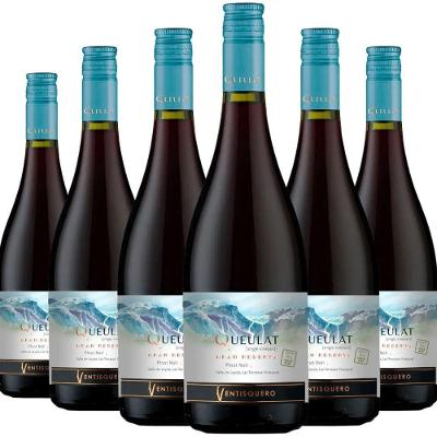 Vinho Tinto Queulat Gran Reserva Pinot Noir 750ml (6 Und)