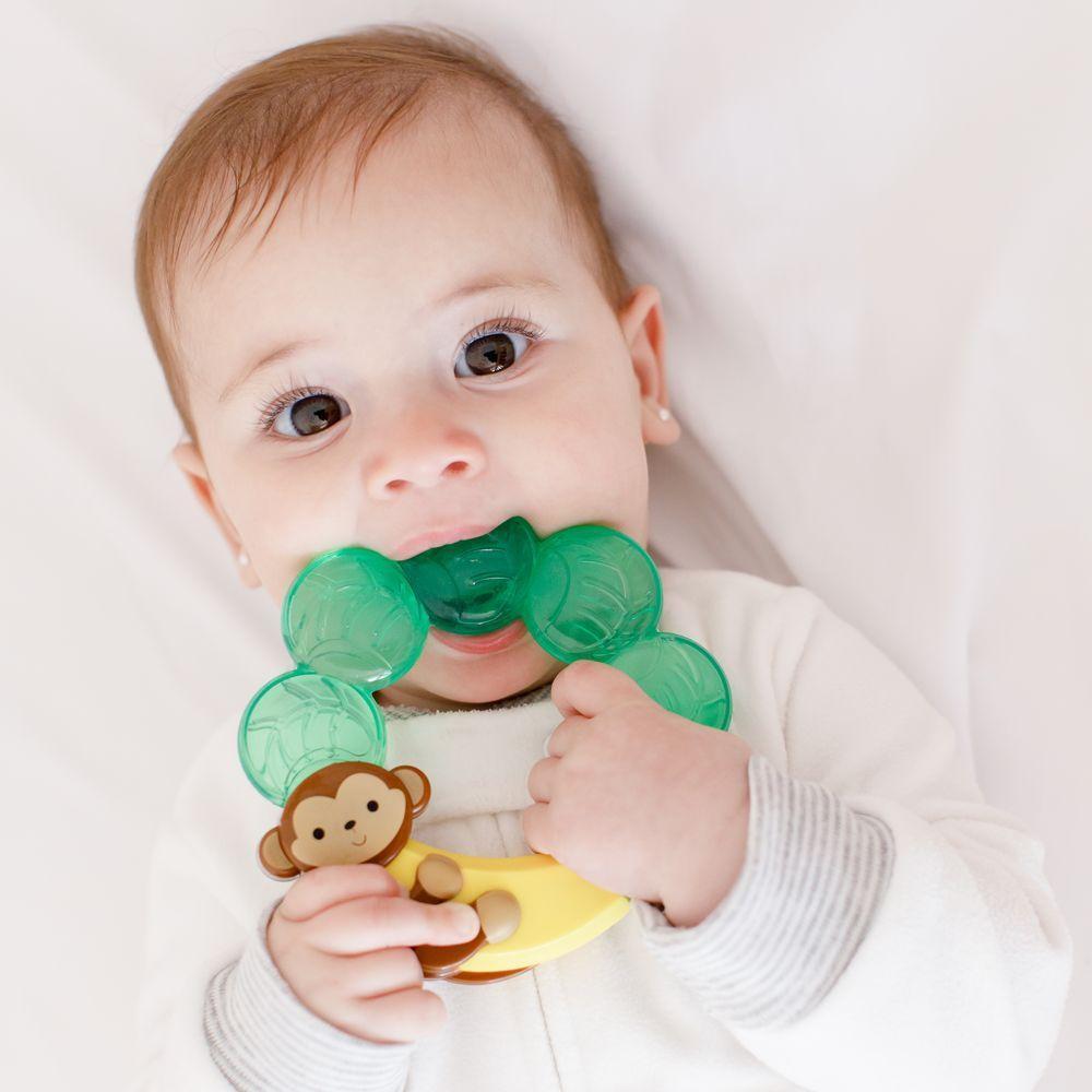 Mordedor Com água Centopeia - Buba 9611 - 2