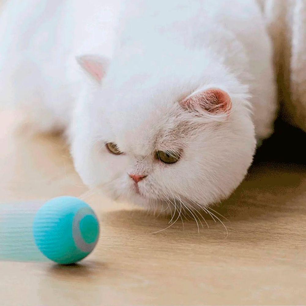 Bola Giratoria Gato Pet Brinquedo Interativo - 2