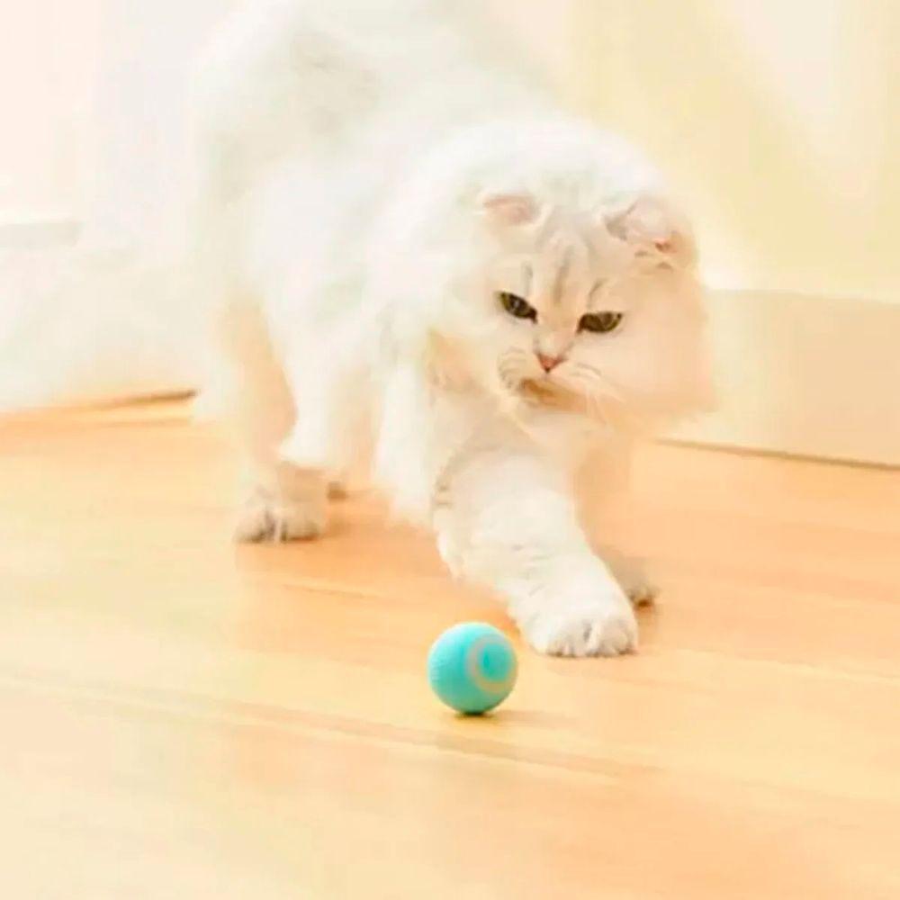 Bola Giratoria Gato Pet Brinquedo Interativo - 8