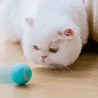 Bola Giratoria Gato Pet Brinquedo Interativo - 2