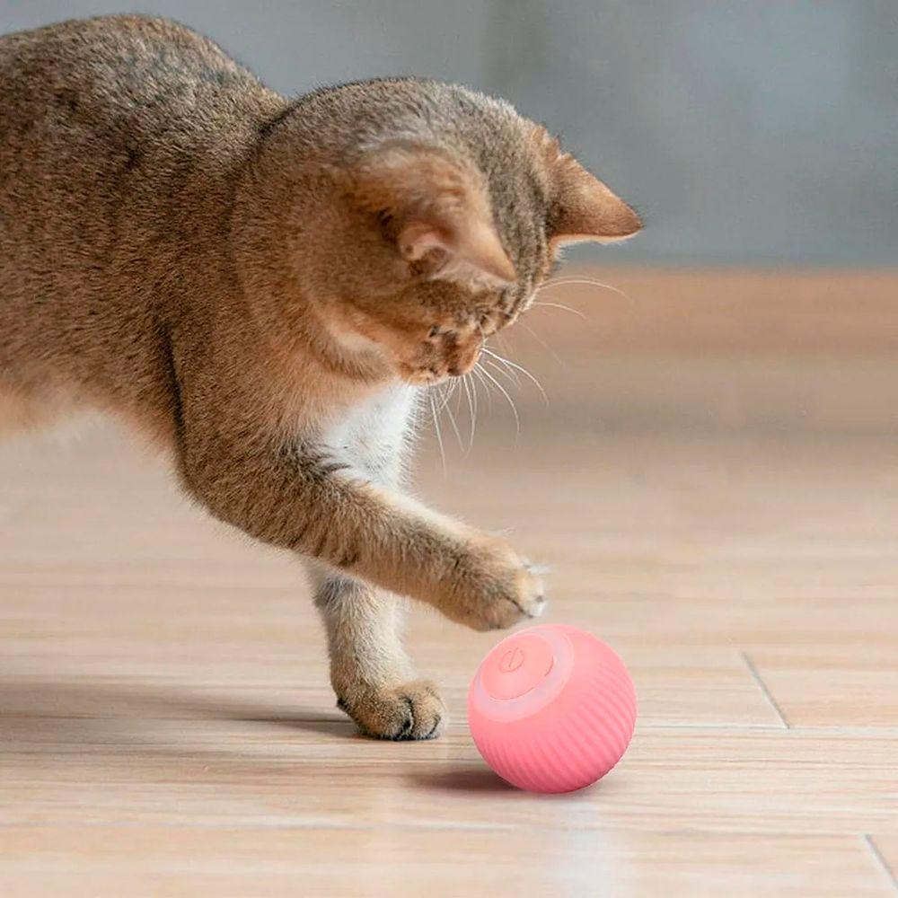 Bola Giratoria Inteligente Gato Pet Bolinha Animal De Estimaçao Brinquedo Usb Petshop Interativa - 3