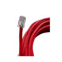 Cabo De Rede Lan Utp Cat6 Rj45 - Loja Gubler 25 Metros - 2