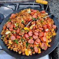 Chapa Disco Arado Aço Carbono Bifeteira Alça Madeira 33cm - 2