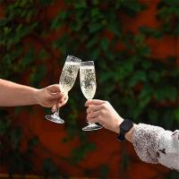 Taça Para Champanhe Em Policarbonato Classic 150ml Kenya - 2