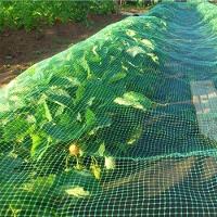 Tela Mosquiteiro Janela 3 Metros Porta Basculante Inseto Mosquito Pernilongo Resistente Segurança - 3