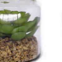 Folhagem Suculenta De Pendurar Com Vaso De Vidro Verde 11,5 Cm F04 - D'rossi - 3