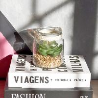 Folhagem Suculenta De Pendurar Com Vaso De Vidro Verde 11,5 Cm F04 - D'rossi - 6